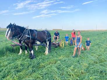 A family stands in a green field with two large draft horses hitched to farm equipment. The sky is clear and blue on a bright day.