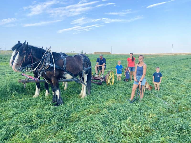 Une famille se tient dans un champ verdoyant, devant deux grands chevaux de trait attelés à du matériel agricole. Le ciel est clair et bleu en cette journée ensoleillée.