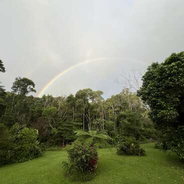 A vibrant rainbow arcs across a cloudy sky above lush, green trees and a grassy lawn, creating a serene and peaceful nature scene after rainfall.