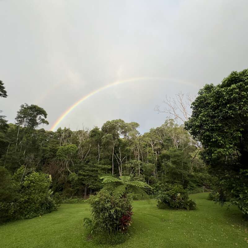 A vibrant rainbow arcs across a cloudy sky above lush, green trees and a grassy lawn, creating a serene and peaceful nature scene after rainfall.