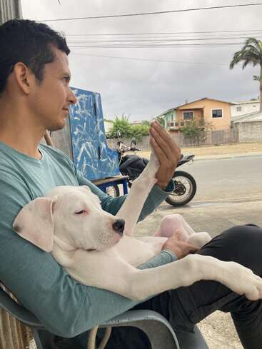 A man sits on a chair outdoors, holding a relaxed white dog in his lap as they gently touch paws, sharing a peaceful moment together.