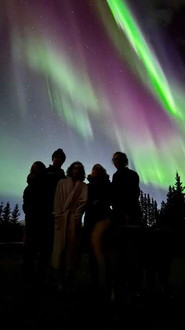 Five people and a dog are silhouetted against a night sky, illuminated by vibrant green and purple auroras, with stars and trees in the background. Magical atmosphere.
