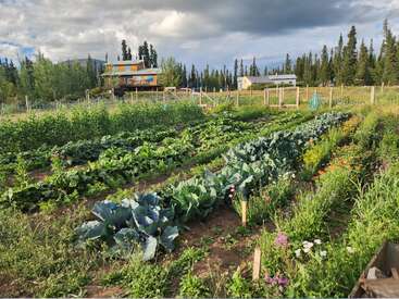 Rows of green vegetables and colorful flowers grow in a vibrant garden. A yellow house and shed sit nearby, surrounded by trees and a cloudy sky.