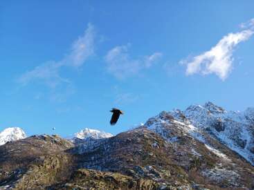 Um pássaro preto voa pelo céu azul claro acima de montanhas escarpadas cobertas de neve, com nuvens dispersas e luz do sol iluminando a tranquila paisagem de inverno.