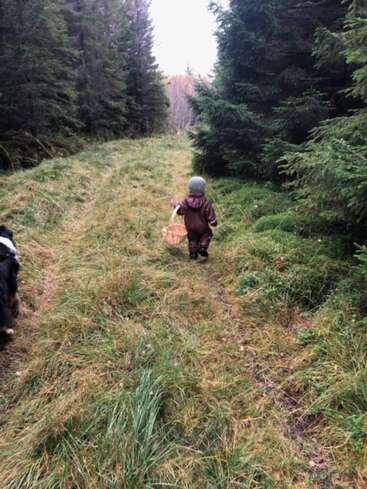 Uma criança pequena com uma roupa marrom caminha por um caminho gramado em uma floresta, carregando uma cesta. Um cachorro preto e branco caminha nas proximidades, parcialmente visível.