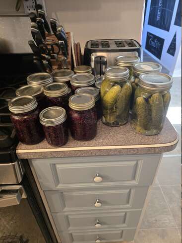 Plusieurs bocaux de conserves et de cornichons faits maison sont posés sur le comptoir de la cuisine. À proximité, il y a un bloc de couteaux, un grille-pain et des tiroirs bleu clair en dessous.