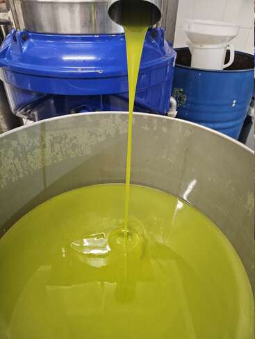 Aceite de oliva verde brillante fluye de un pico metálico a un gran recipiente. Se ve maquinaria industrial y barriles, lo que indica que se trata de una fábrica o planta de procesado.