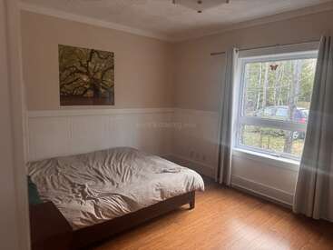 Une chambre douillette avec un lit simple, des murs beiges, une reproduction d'un arbre, une grande fenêtre aux rideaux blancs, un parquet et une vue sur les arbres à l'extérieur.