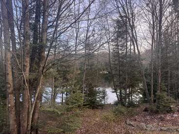 Une scène forestière paisible, où se côtoient arbres à feuilles caduques et conifères, entoure un lac tranquille. Des feuilles mortes tapissent le sol, et le ciel, couvert, semble doux.