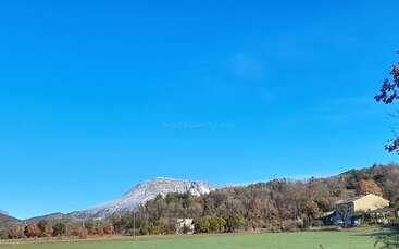Un paysage pittoresque avec une montagne enneigée sous un ciel bleu clair, des champs verdoyants, des arbres épars et quelques maisons rustiques nichées paisiblement au pied de la montagne.