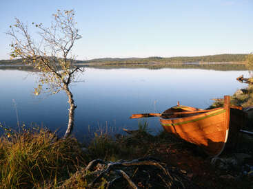 A tranquil lake scene with calm water, a wooden boat on the shore, a leaning tree, grassy bank, and distant forest under a clear blue sky.