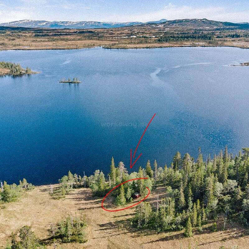 A serene lake surrounded by forest and mountains. A red arrow points to a small cabin hidden among trees near the shoreline, emphasizing its secluded location.