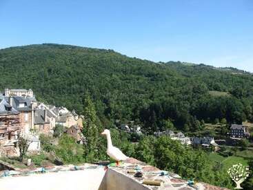 Un village paisible se niche au milieu de collines verdoyantes, sous un ciel bleu limpide. Au premier plan, une oie blanche se tient sur un mur de pierre, observant tranquillement les environs.