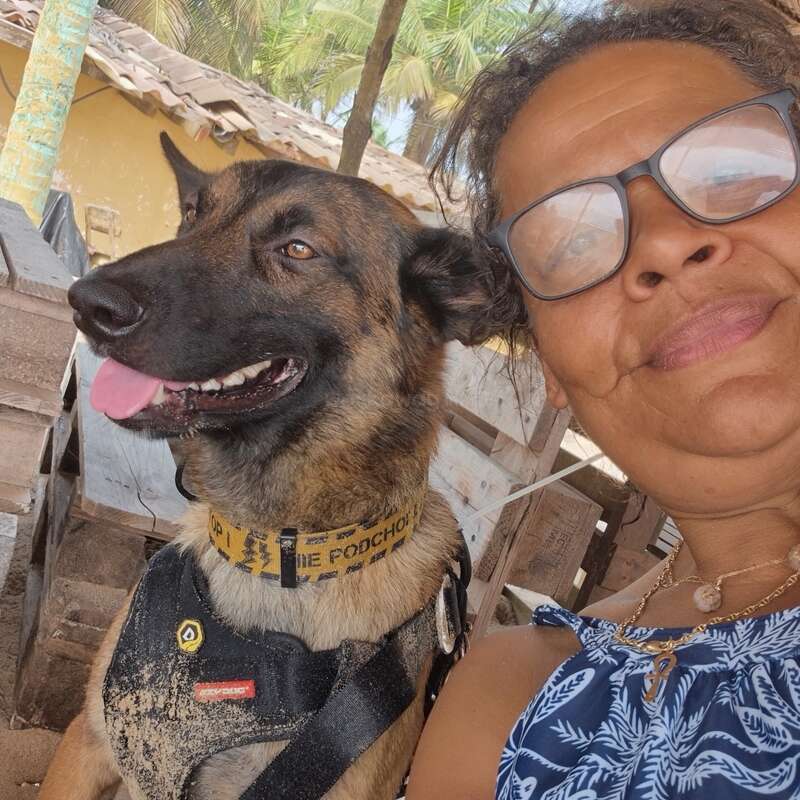 A imagem mostra um cachorro e uma pessoa, com o cachorro usando uma coleira e a pessoa em pé atrás dele, em um fundo natural ao ar livre. A cena parece ser um cenário diurno.