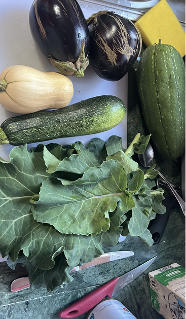 Essa foto mostra legumes frescos, incluindo duas berinjelas, abóbora, abobrinha, pepino e verduras folhosas em uma bancada de cozinha com utensílios e uma esponja.