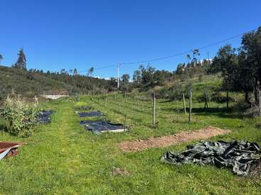 Eine sonnige Gartenszene mit grünem Gras, kleinen Beeten, die mit schwarzer Plastikfolie bedeckt sind, Holzpfählen, einer Plane, Bäumen und sanften Hügeln unter einem strahlend blauen Himmel.