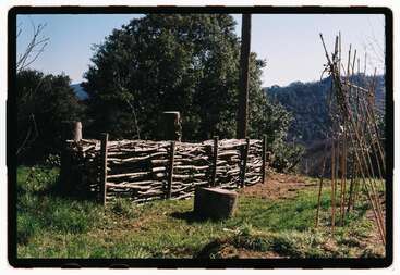 The image depicts a rustic scene with a wooden fence, a small tree, and a body of water, evoking a sense of natural beauty and tranquility. The scene is likely a park or a garden.