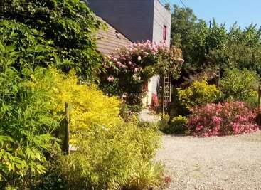 Um jardim iluminado pelo sol, repleto de flores coloridas, plantas verdes exuberantes e arbustos, circunda uma casa. Um caminho de cascalho leva a uma área de estar aconchegante e sombreada.