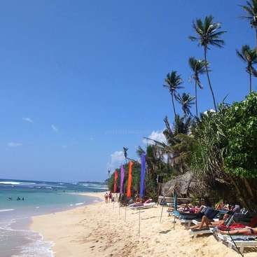 La imagen representa una serena escena playera con palmeras, banderas de colores vivos y gente descansando en tumbonas, sobre un cielo azul despejado y aguas tranquilas.