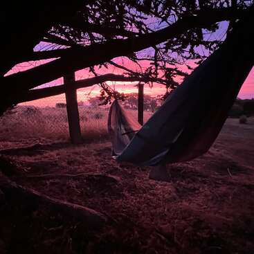 A hammock hangs between tree branches at sunset. The sky glows pink and purple, casting serene light over a quiet, rustic outdoor landscape and fenced field.