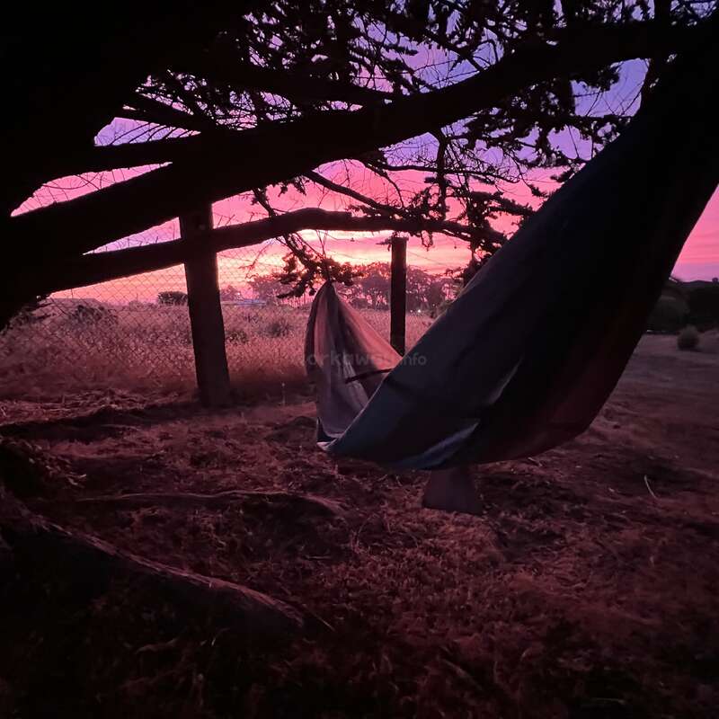 Una hamaca cuelga entre las ramas de un árbol al atardecer. El cielo resplandece de rosa y púrpura, proyectando una luz serena sobre un tranquilo y rústico paisaje al aire libre y un campo vallado.