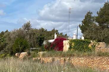 Una casa rústica parcialmente cubierta de hiedra vibrante y flores rojas se encuentra entre árboles y hierba alta, con un muro de piedra y un cielo nublado al fondo.