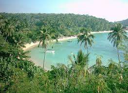 The image depicts a serene tropical beach scene, featuring palm trees and a tranquil body of water, with a small island or peninsula in the background, surrounded by lush greenery.