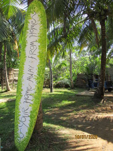 The image depicts a vibrant green and white surfboard with the phrase \"YOUR HOME AWAY FROM HOME\" leaning against a palm tree in a tropical setting.
