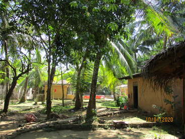 The image depicts a serene tropical setting with a small house, lush trees, and vibrant greenery, evoking a sense of tranquility and natural beauty.