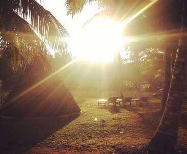 Golden sunlight streams through palm trees, illuminating wooden chairs and a thatched hut. Shadows stretch across grassy ground, evoking a tranquil, tropical morning or evening escape.