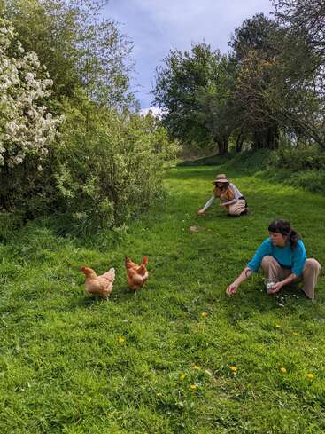 Two women crouch on green grass, reaching out to feed two brown chickens, surrounded by blooming bushes and tall trees under a partly cloudy sky.