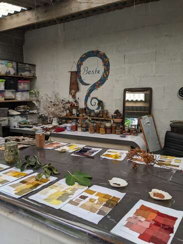 A creative workspace with color swatches, dried plants, jars of natural materials, and art supplies. Painted wall says “Beste.” Shelves hold organized boxes and flowers.