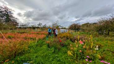 Three people stand together in a lush, vibrant garden surrounded by colorful flowers and greenery, under a dramatic cloudy sky, enjoying nature and each other's company.