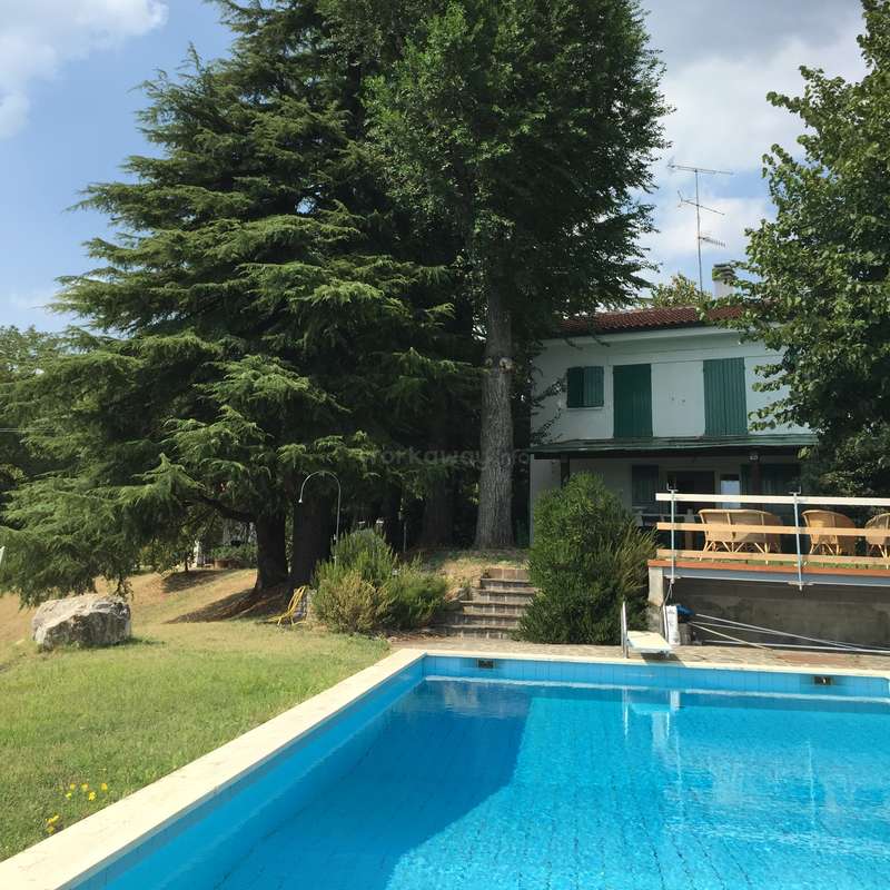 Das Bild zeigt einen ruhigen Hinterhof mit einem Pool, einem Haus und üppigen Bäumen, die ein Gefühl von Entspannung und Ruhe vermitteln.