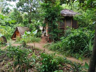 La imagen representa un entorno tropical sereno con exuberante vegetación, en el que aparecen dos pequeñas cabañas de madera con tejados de paja, enclavadas entre árboles y plantas.