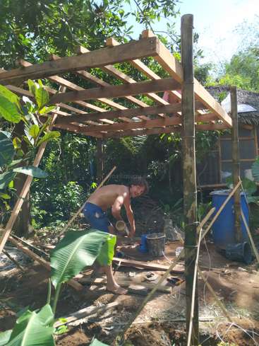 Un hombre está construyendo una estructura de madera en un jardín tropical, rodeado de exuberante vegetación y árboles, con un cubo azul y otras herramientas cerca.