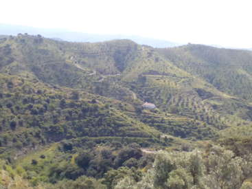 A imagem retrata uma paisagem montanhosa serena com vegetação exuberante, com colinas, árvores e uma estrada sinuosa, em um céu claro e ensolarado.