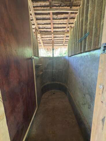This image shows a rustic, outdoor shower or bath area with concrete walls, a curved floor, thatched roof, wooden accents, and open space facing green nature.