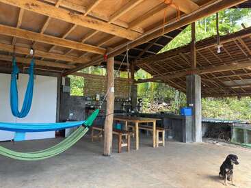 This rustic open-air kitchen features wooden beams, hammocks, a dining table, a concrete countertop, shelves, hanging lights, lush greenery outside, and a black dog.