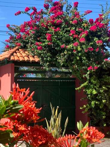 Des fleurs rouges et roses éclatantes s'épanouissent sous un ciel bleu ensoleillé. Une porte en bois vert est encadrée par des murs orange, une végétation luxuriante et un aménagement paysager tropical.