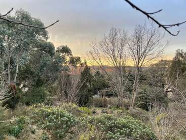 Un paysage serein composé de buissons verts aux fleurs jaunes, de grands arbres - certains dénudés, d'autres en feuillage - sous un ciel pastel, la lumière dorée du soleil illuminant doucement l'horizon.