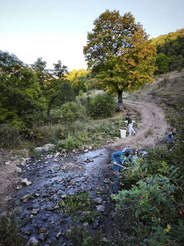 Un paysage rural présente un chemin de terre, un ruisseau avec des rochers, une végétation luxuriante, un arbre isolé et des personnes travaillant ou se réunissant au bord de l'eau.