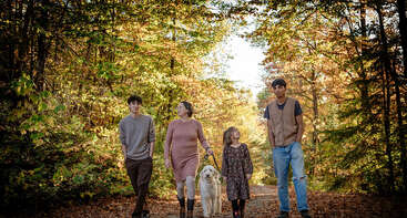 A family of four, along with their dog, walk together on a forest path surrounded by autumn foliage, enjoying a peaceful, sunny day outdoors together.