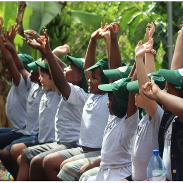 Un groupe d'enfants, coiffés de chapeaux verts et vêtus de t-shirts gris, est assis en plein air ; ils lèvent joyeusement les mains tous ensemble, entourés d'une végétation luxuriante et baignés par le soleil, profitant pleinement de la nature.