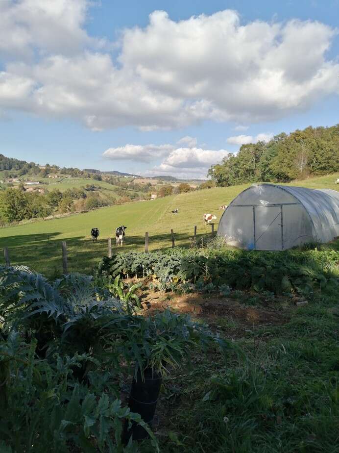 Une scène champêtre ensoleillée avec des champs verdoyants, des vaches qui paissent, un potager au premier plan, une petite serre tunnel, des arbres, des collines et des nuages cotonneux dans le ciel.
