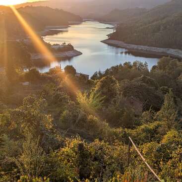 Goldenes Sonnenlicht scheint durch die üppig grünen Bäume und beleuchtet einen friedlichen Fluss, der sich durch ein ruhiges Tal schlängelt, umgeben von sanften Hügeln unter einem weichen, leuchtenden Himmel.