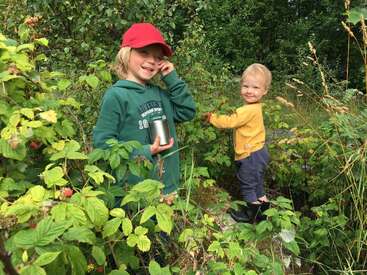 Two young children are picking berries in a lush, green forest. One wears a red cap and holds a cup; both look happy and playful together.