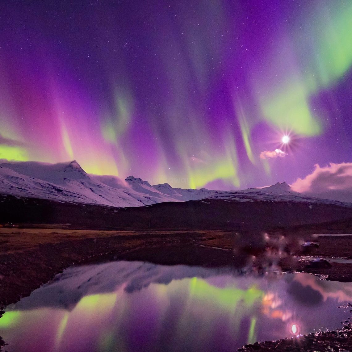 aurora borealis iceland