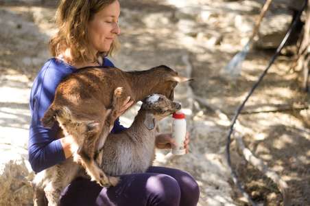 slow travel farm cycling goat