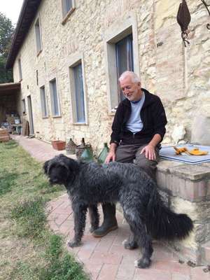 senior workaway taking care of dogs outside house